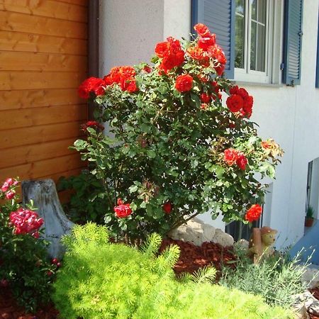 Ferienwohnung Weiser Кресброн Экстерьер фото